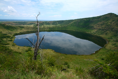 east africa, picture 13: queen elizabeth. click on the image to go to the next picture
